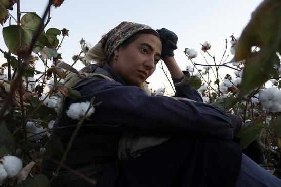 Vivre en dépit des revers